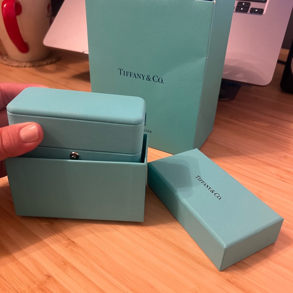 Tiffany & Co. Authentic Earrings Case, Box and Bag with Ribbon NYC Landmark